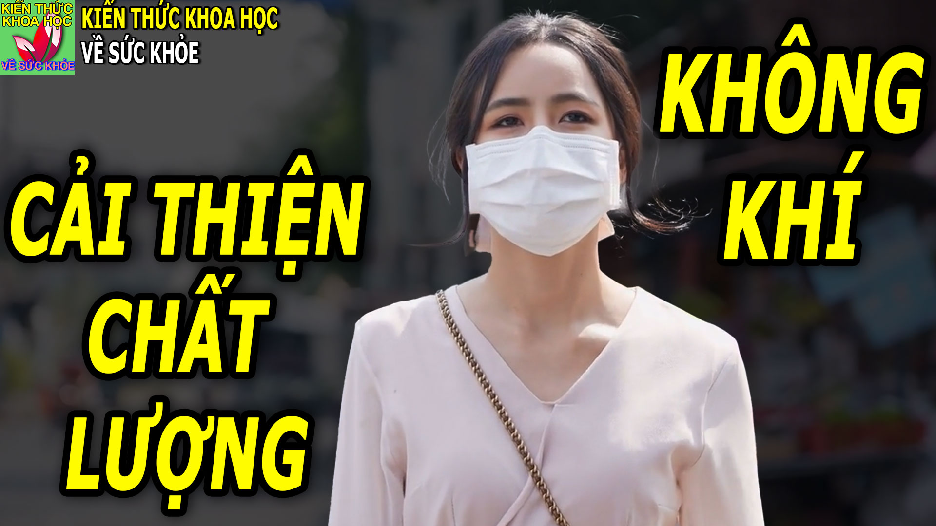 6-cach-cai-thien-chat-luong-khong-khi-trong-nha