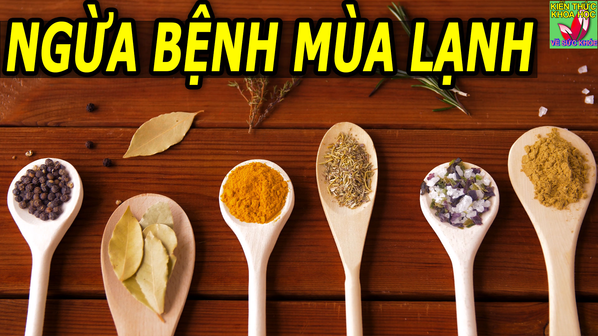 8-loai-gia-vi-giup-lam-am-co-the-phong-benh-mua-lanh