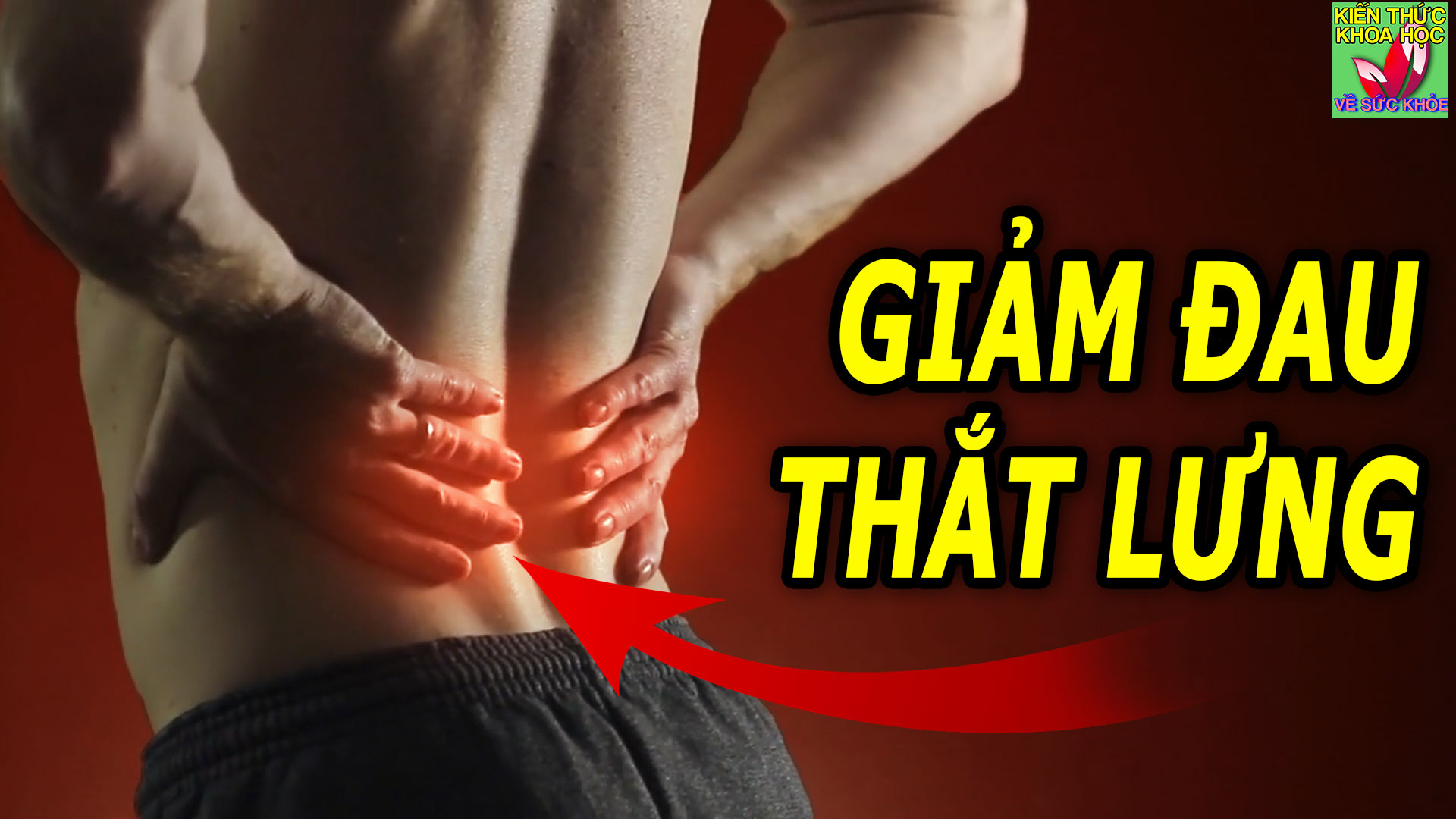 bai-tap-phong-ngua-giam-dau-that-lung-cot-song