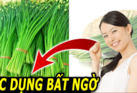 tac-dung-bat-ngo-cua-la-he-doi-voi-suc-khoe