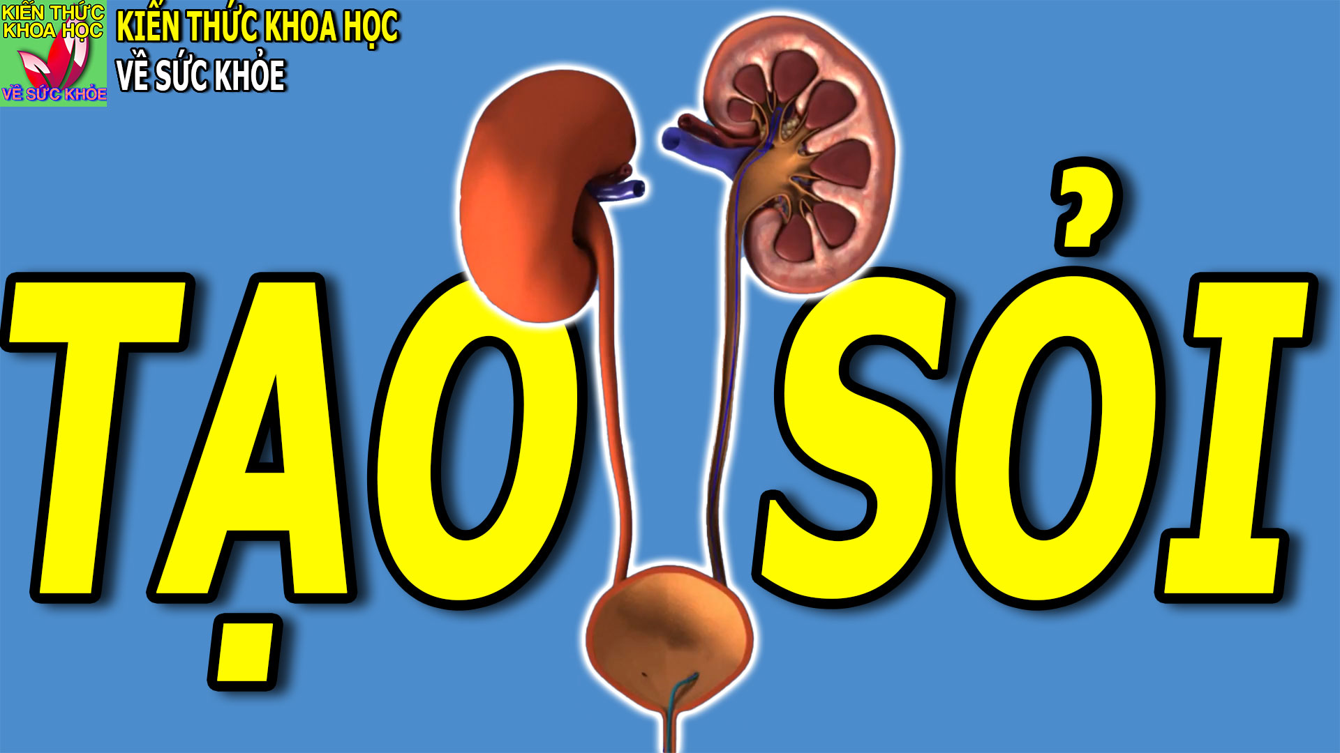 10-yeu-to-tang-nguy-co-tao-soi