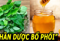 4-cong-thuc-duong-phoi-giam-ho-giup-bai-doc-phoi-tu-nhien-hieu-qua