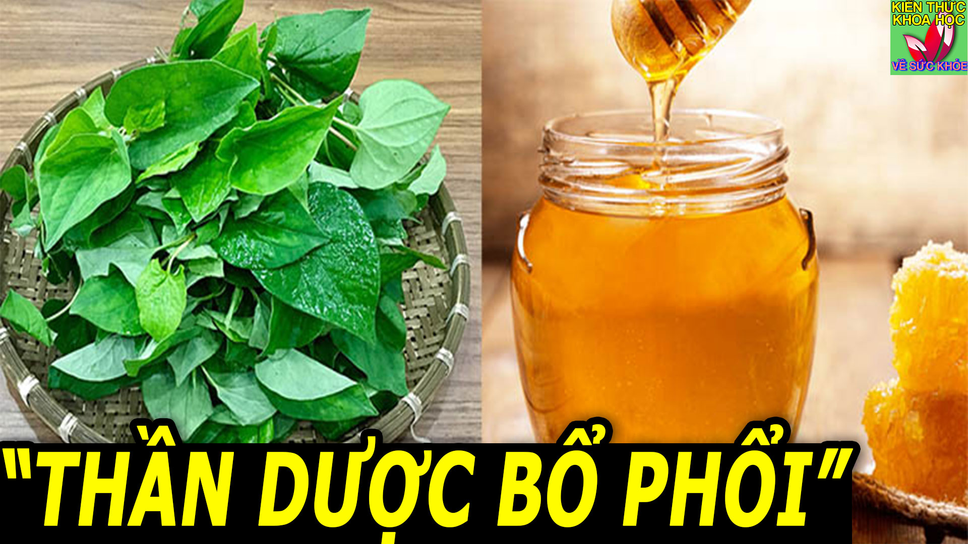 4-cong-thuc-duong-phoi-giam-ho-giup-bai-doc-phoi-tu-nhien-hieu-qua