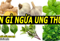 6-loai-thuc-pham-chong-ung-thu-nen-bo-sung-moi-ngay