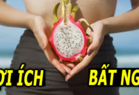 6-loi-ich-bat-ngo-tu-qua-thanh-long