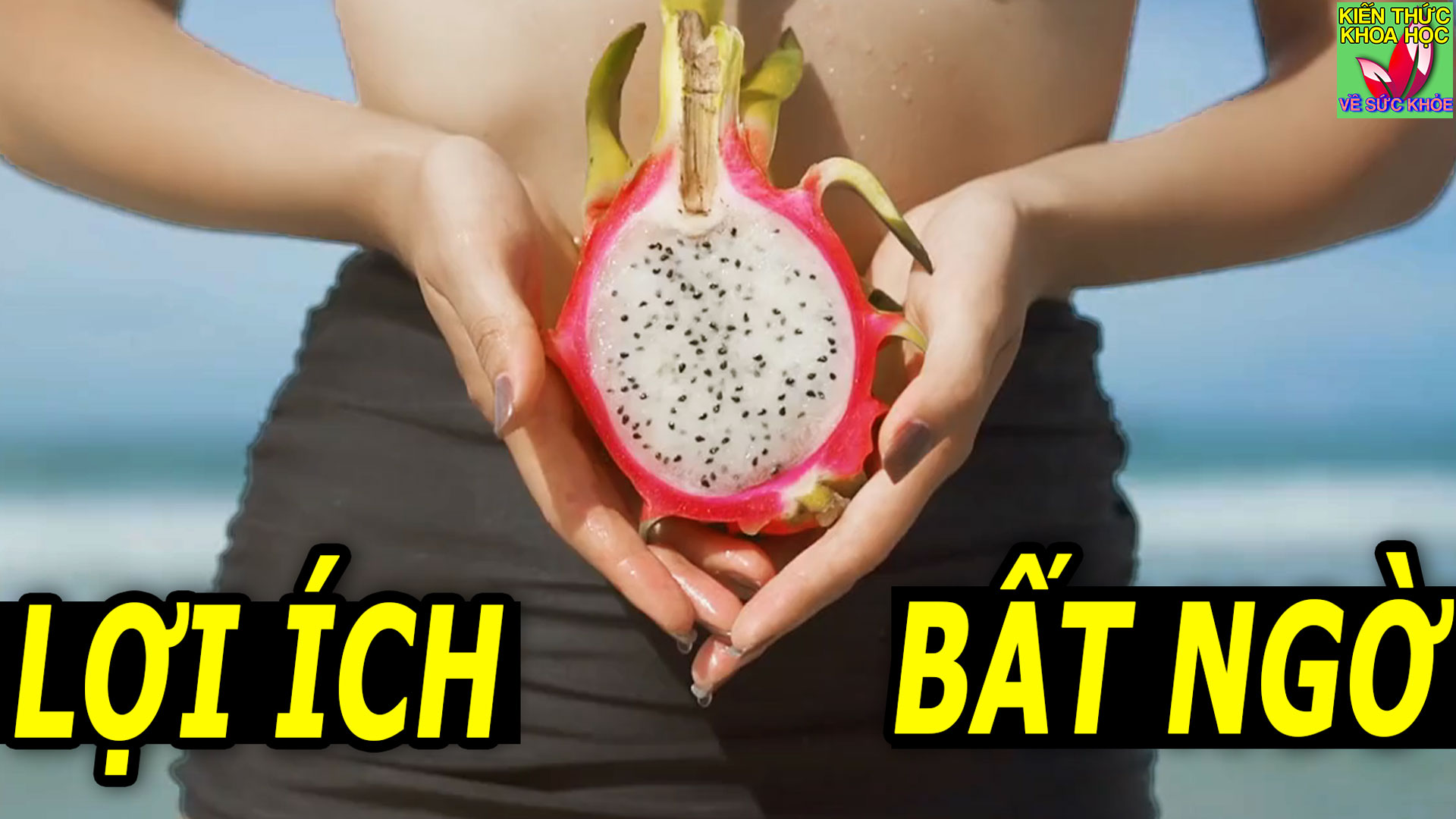 6-loi-ich-bat-ngo-tu-qua-thanh-long