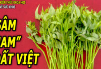 menh-danh-sam-nam-dat-viet-cuc-ky-giau-gia-tri-dinh-duong