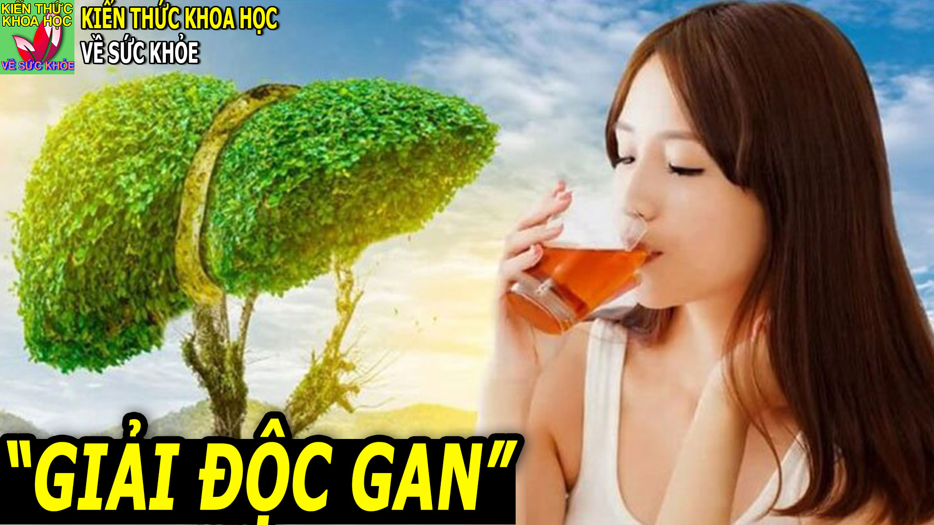 thuc-uong-mat-gan-giai-doc-nhe-nhang-de-dang-thuc-hien