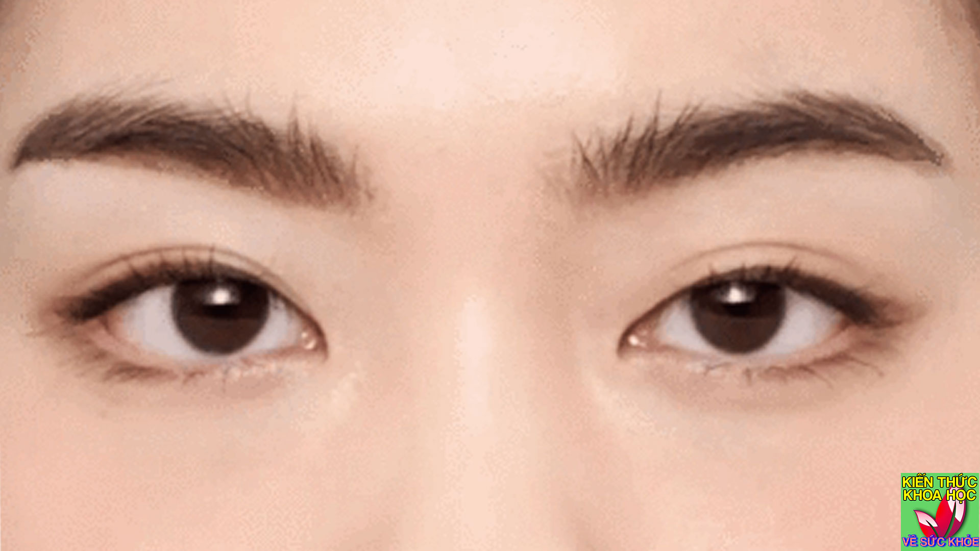 5-bai-tap-the-duc-cho-mat-giup-mat-sang-khoe