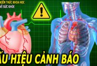 5-bieu-hien-cua-co-the-can-luu-y-de-phong-ngua-benh-tat