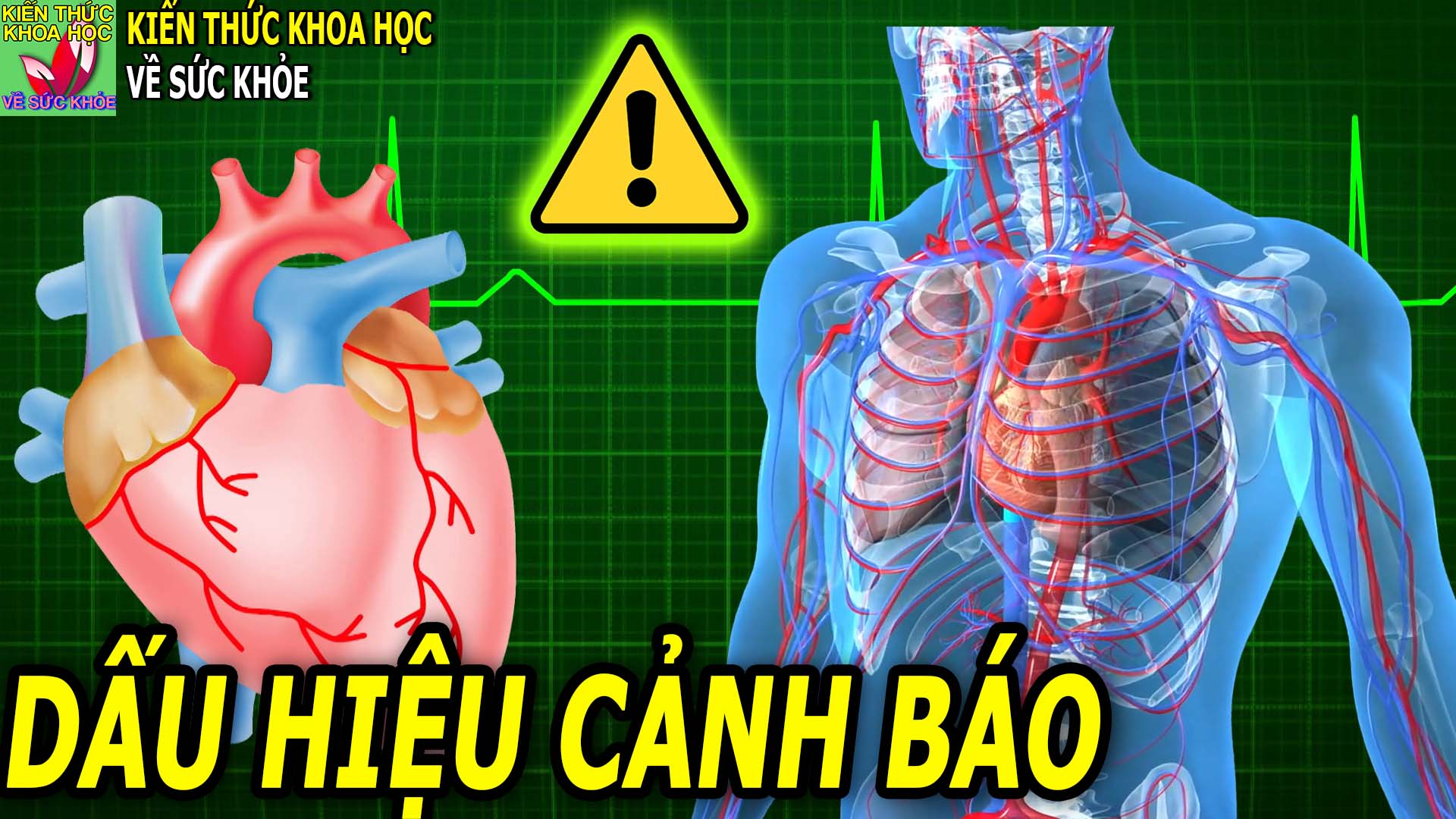 5-bieu-hien-cua-co-the-can-luu-y-de-phong-ngua-benh-tat