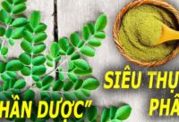 5-loi-ich-than-ky-doi-voi-suc-khoe-cua-chum-ngay5-loi-ich-than-ky-doi-voi-suc-khoe-cua-chum-ngay