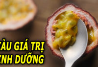 6-loai-qua-bo-tu-loi-den-hat-chua-ca-ta-dinh-chat