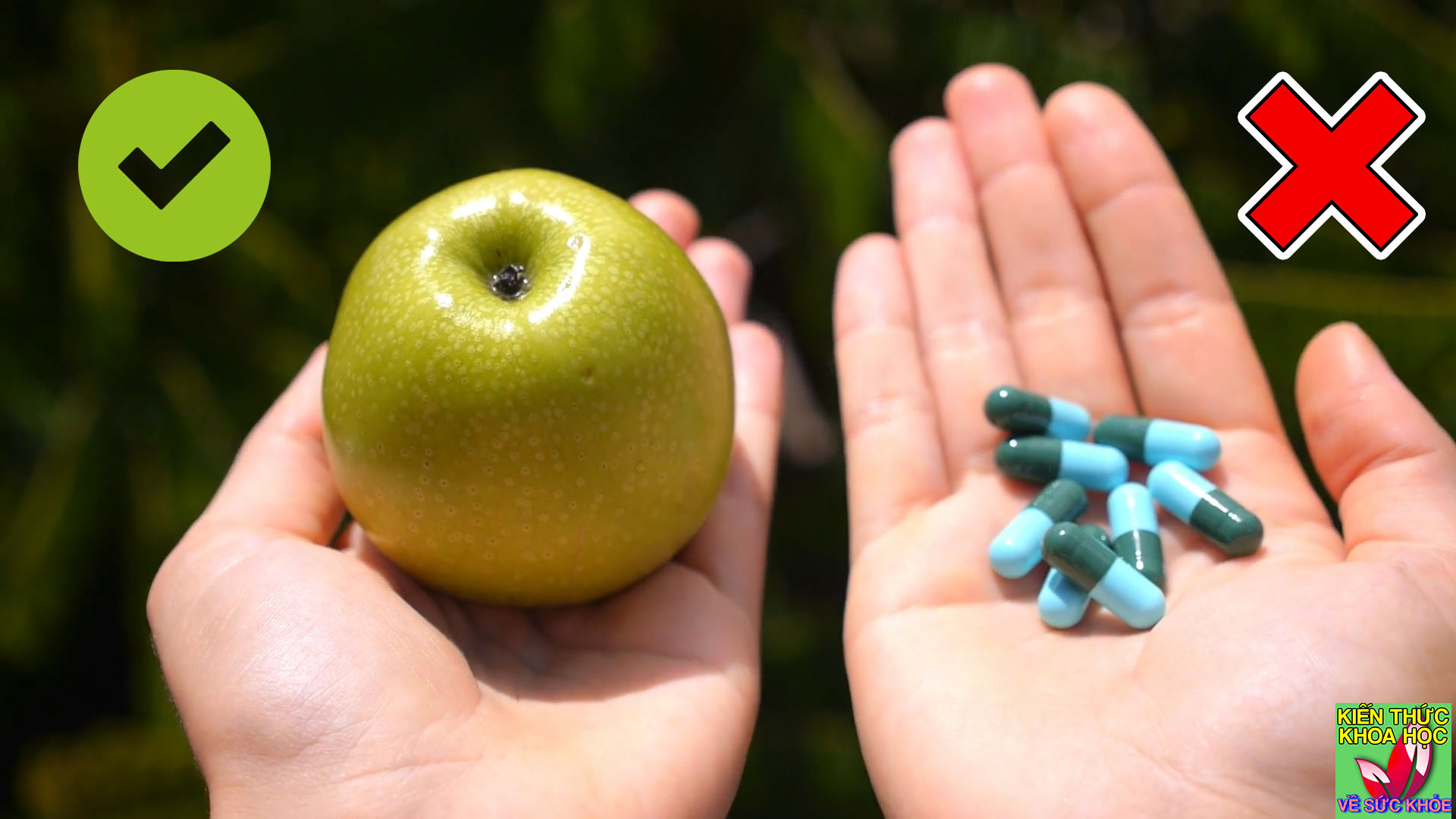 9-mon-an-bai-thuoc-tu-nhien-giup-boi-bo-co-the-nang-cao-suc-khoe