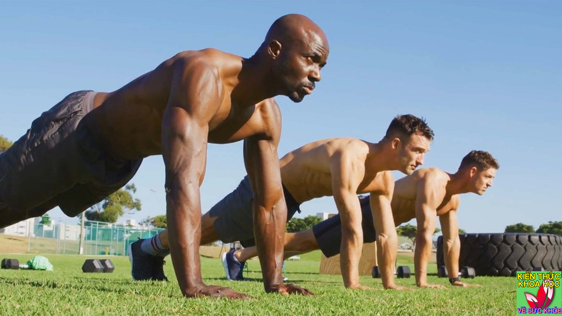 bai-tap-giam-den-96%-nguy-co-benh-tim-pho-bien-thu-2-sau-chay-bo