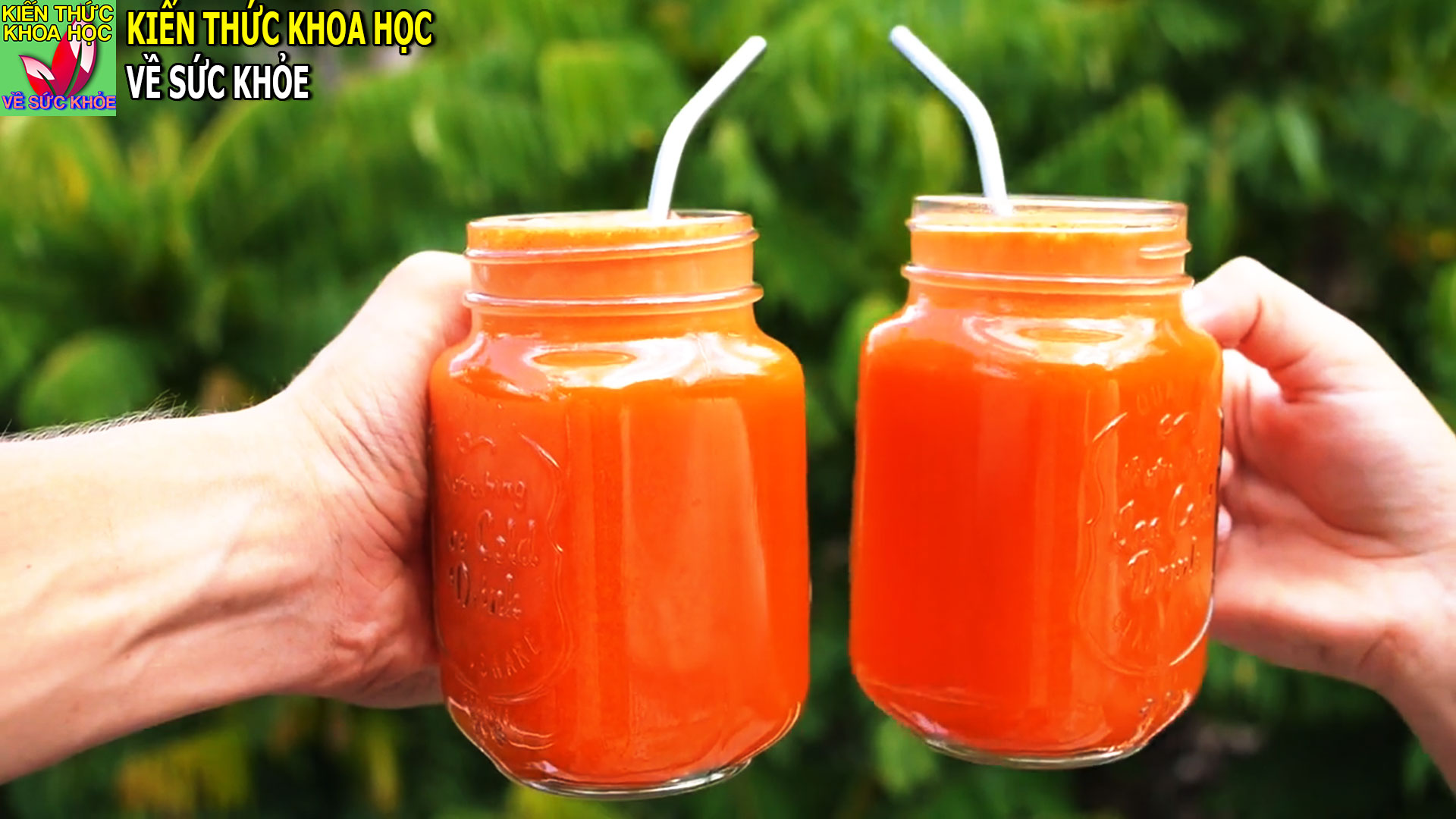 thuc-uong-giup-lam-sach-thanh-mach-on-dinh-duong-huyet-va-phong-ngua-ung-thu