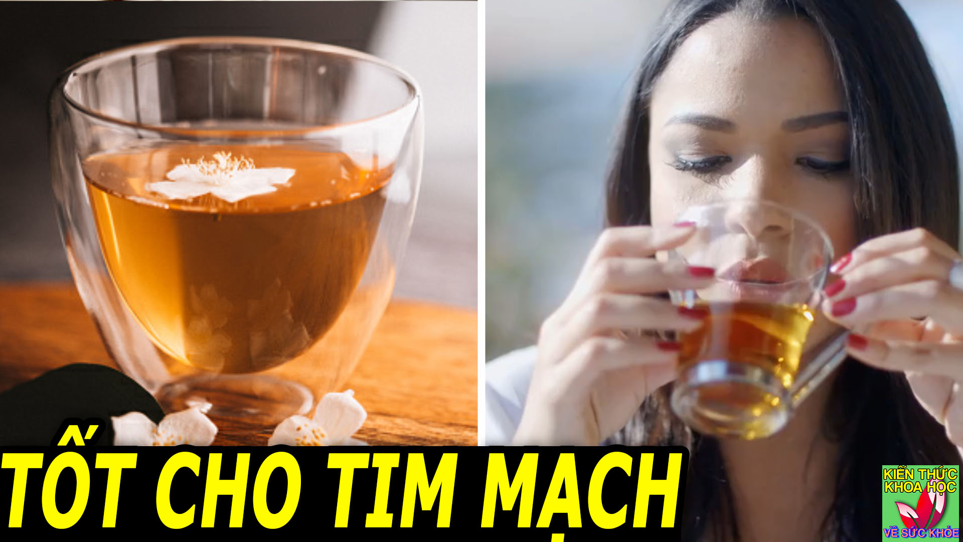 thuc-uong-tot-cho-tim-mach-ho-tro-giam-can-ngan-ngua-ung-thu