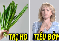 tri-ho-tieu-dom-hieu-qua-chi-voi-1-nam-la-mui-tau