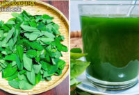 an-rau-ngot-co-tac-dung-gi