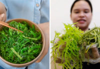 an-rong-bien-co-tac-dung-gi