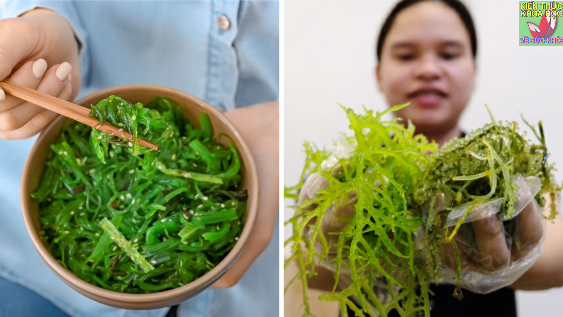 an-rong-bien-co-tac-dung-gi