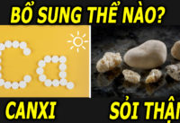 bo-sung-canxi-the-nao-giup-han-che-nguy-co-soi-than