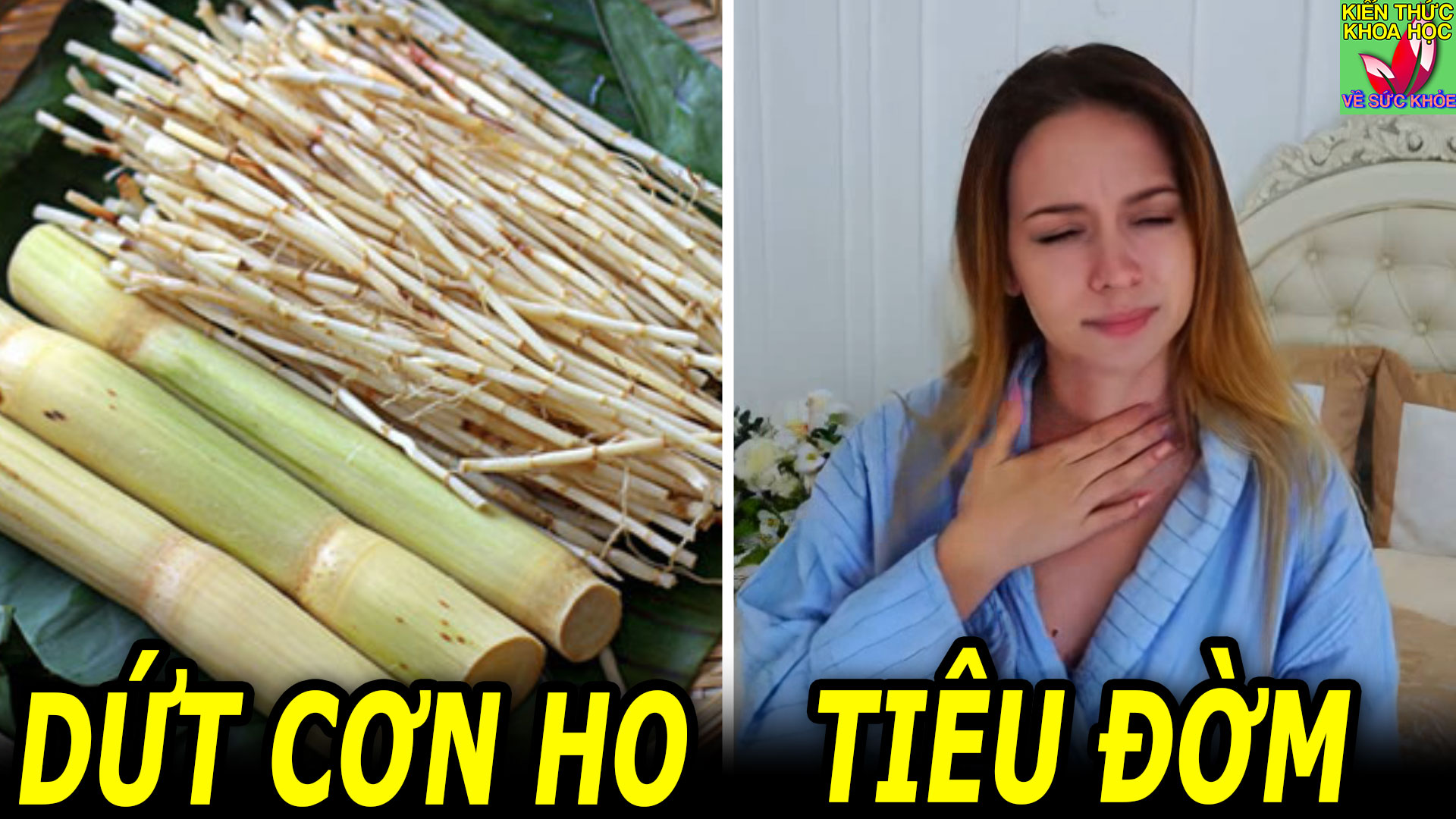 cong-thuc-tri-ho-tieu-dom-bo-phoi-giup-co-the-nhanh-phuc-hoi