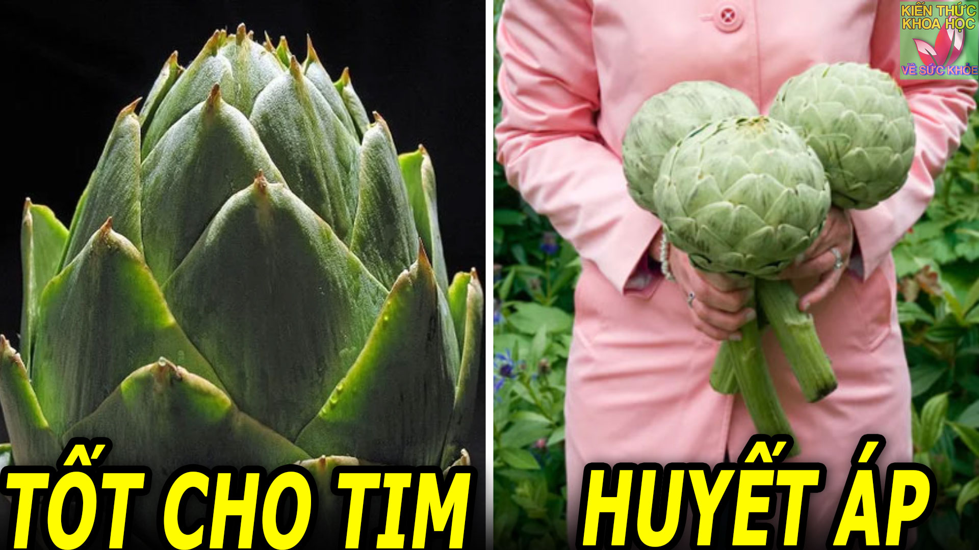 thuc-pham-bo-tim-on-dinh-huyet-ap-khong-nhieu-nguoi-biet