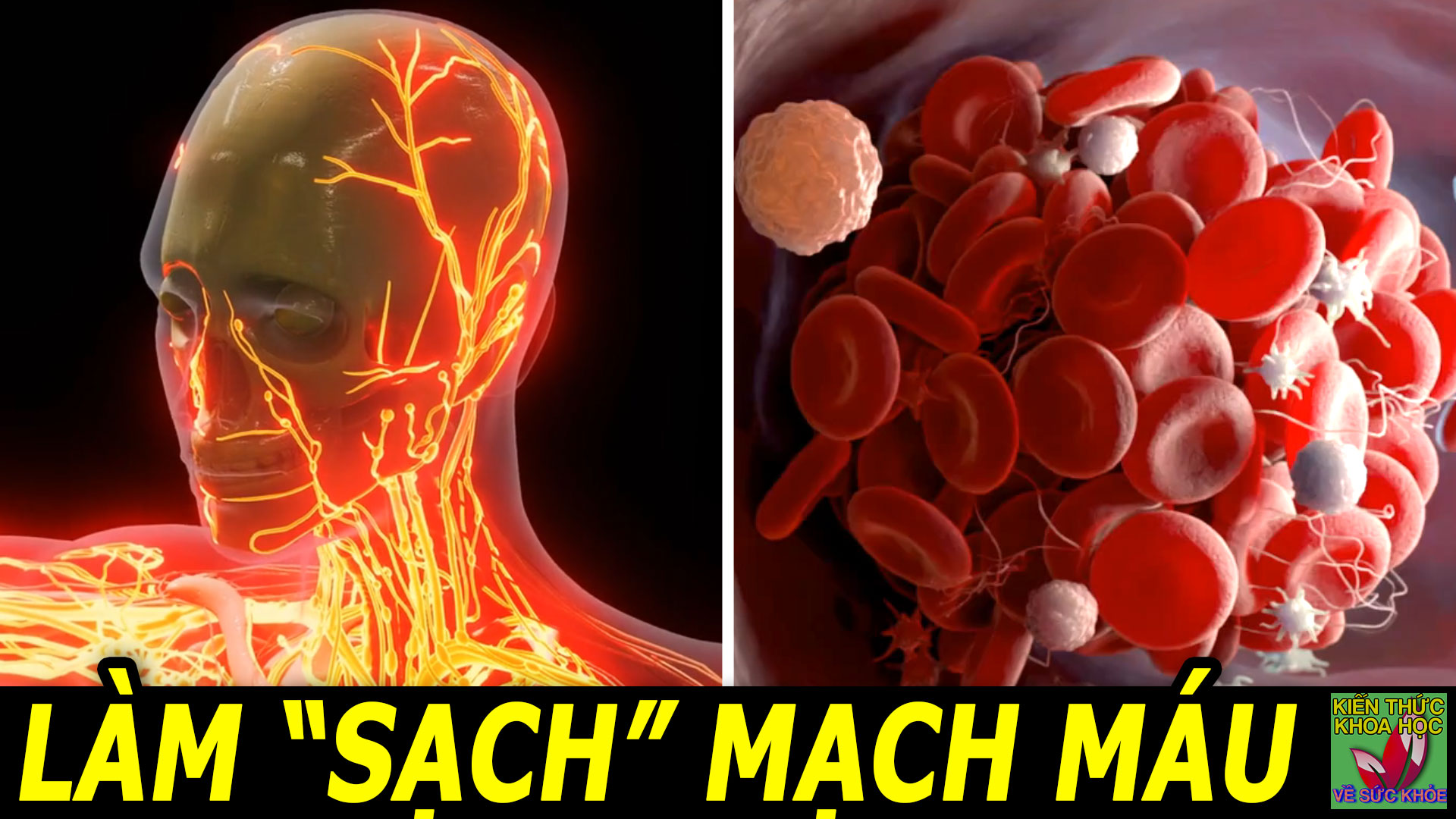 thuc-pham-lam-sach-mach-mau-phong-benh-tim-mach