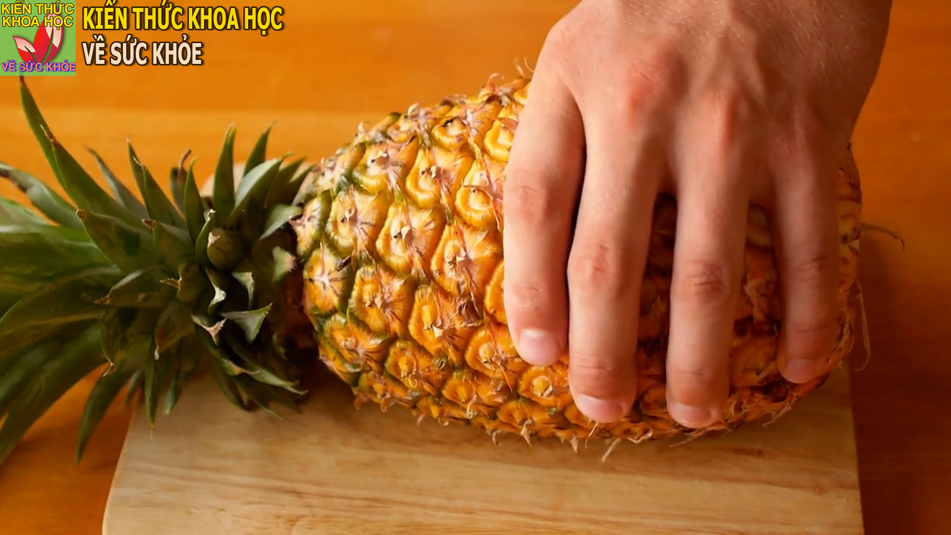 thuc-pham-quet-sach-mo-mau-giup-bo-than-tang-cuong-tieu-hoa