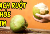 thuc-uong-dep-da-cai-thien-tieu-hoa-tot-cho-tim-mach