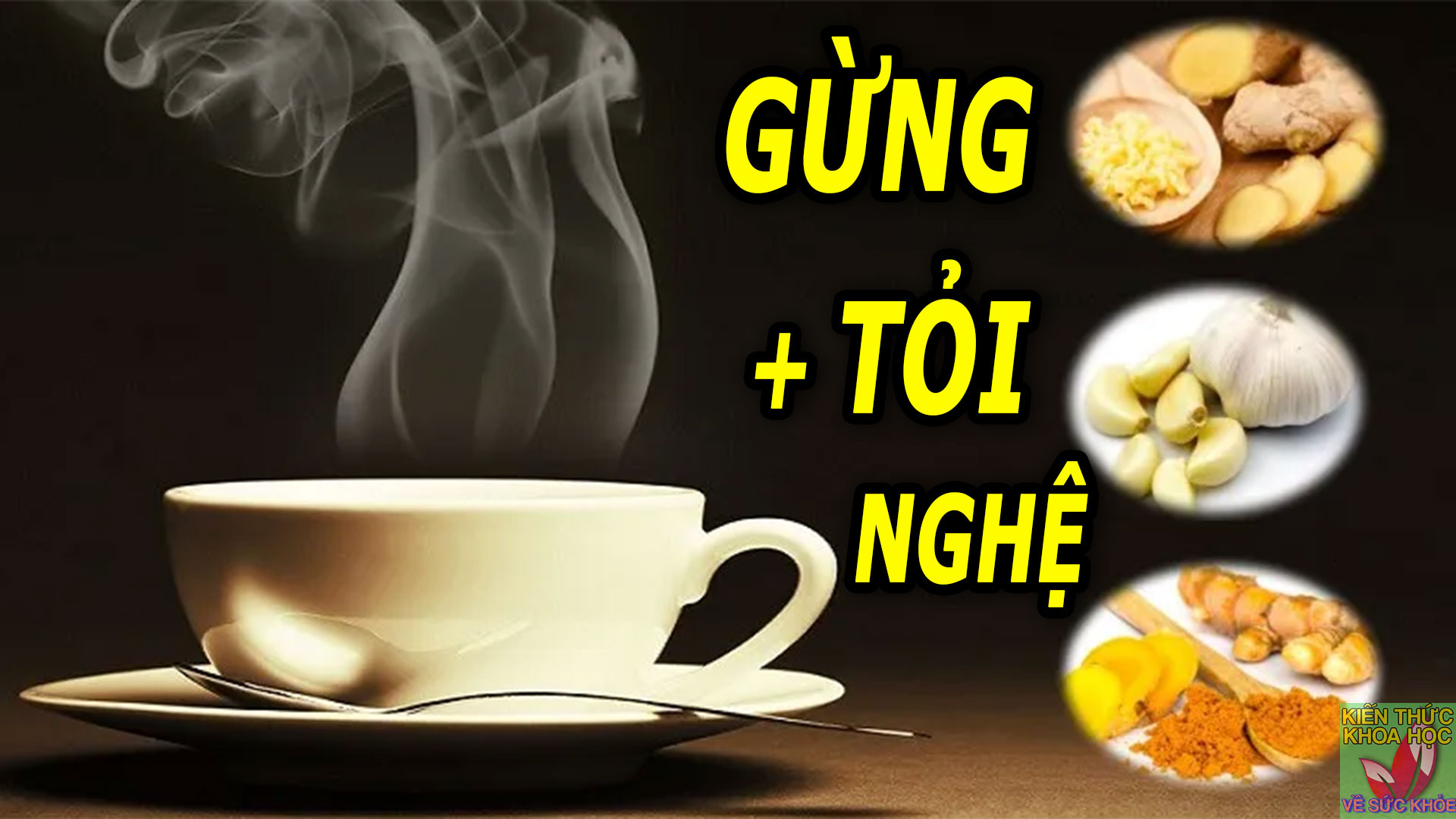 tra-gung-toi-nghe-thuc-uong-tang-cuong-mien-dich-tu-nhien