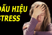 4-dau-hieu-canh-bao-ban-dang-bi-stress