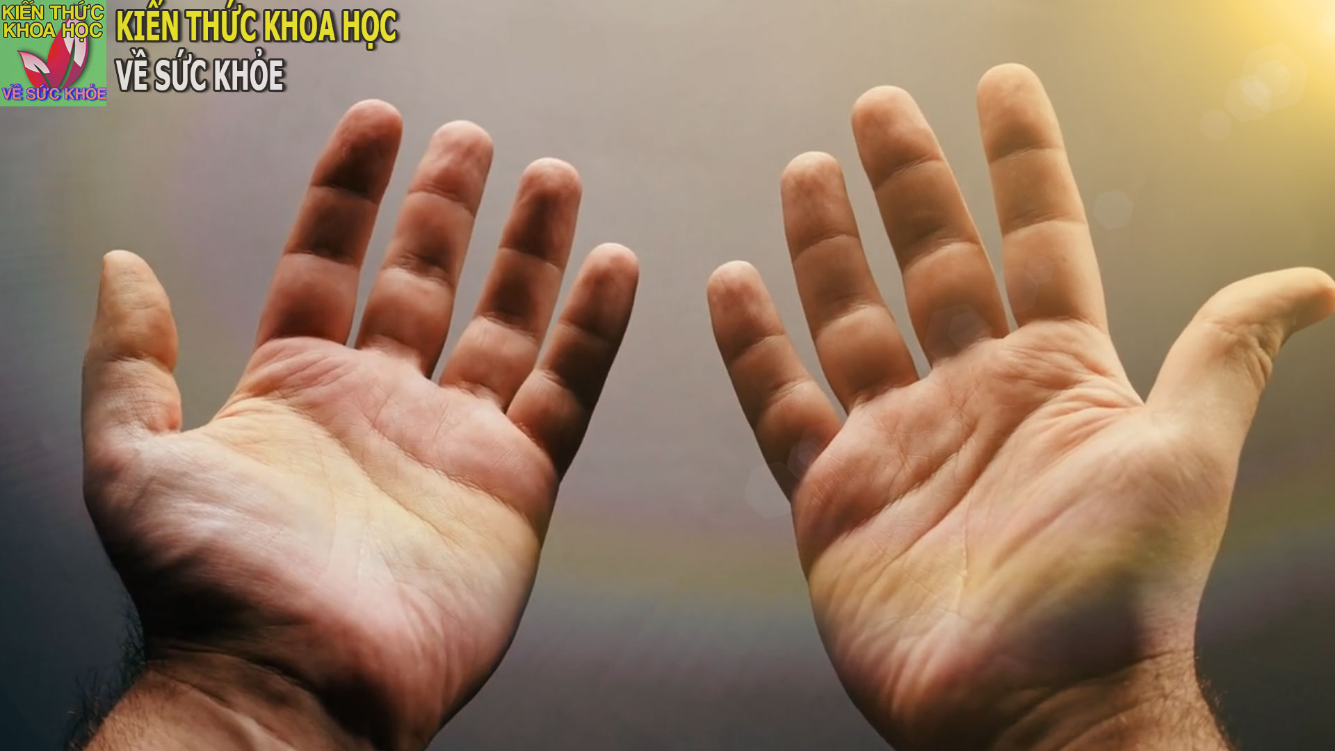 5-dau-hieu-o-tay-canh-bao-cac-van-de-ve-tim