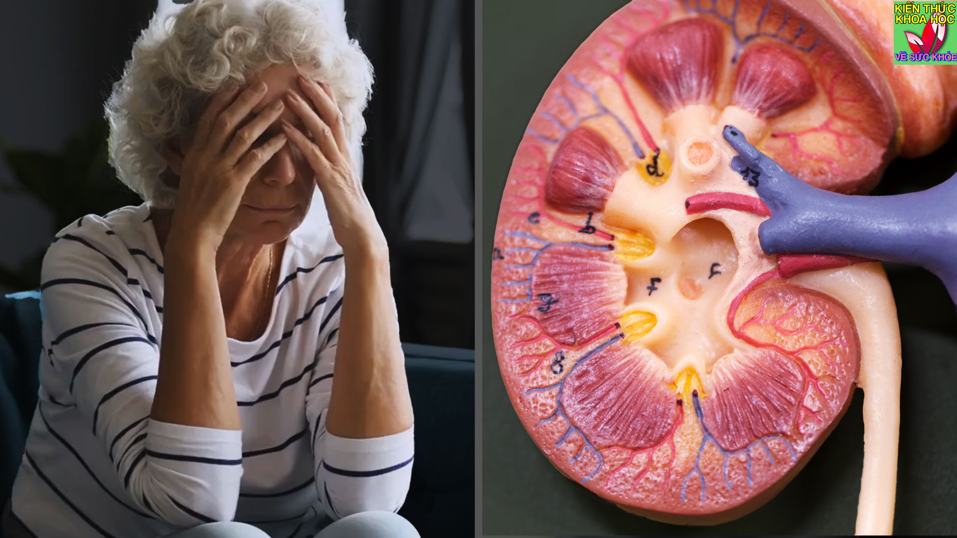 5-doi-tuong-co-nguy-co-cao-than-hu-than-yeu