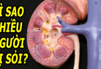 5-nguyen-nhan-hang-dau-gay-benh-soi-than