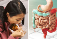 an-voi-an-vang-an-cho-xong-bua-dieu-gi-se-xay-ra-voi-co-the