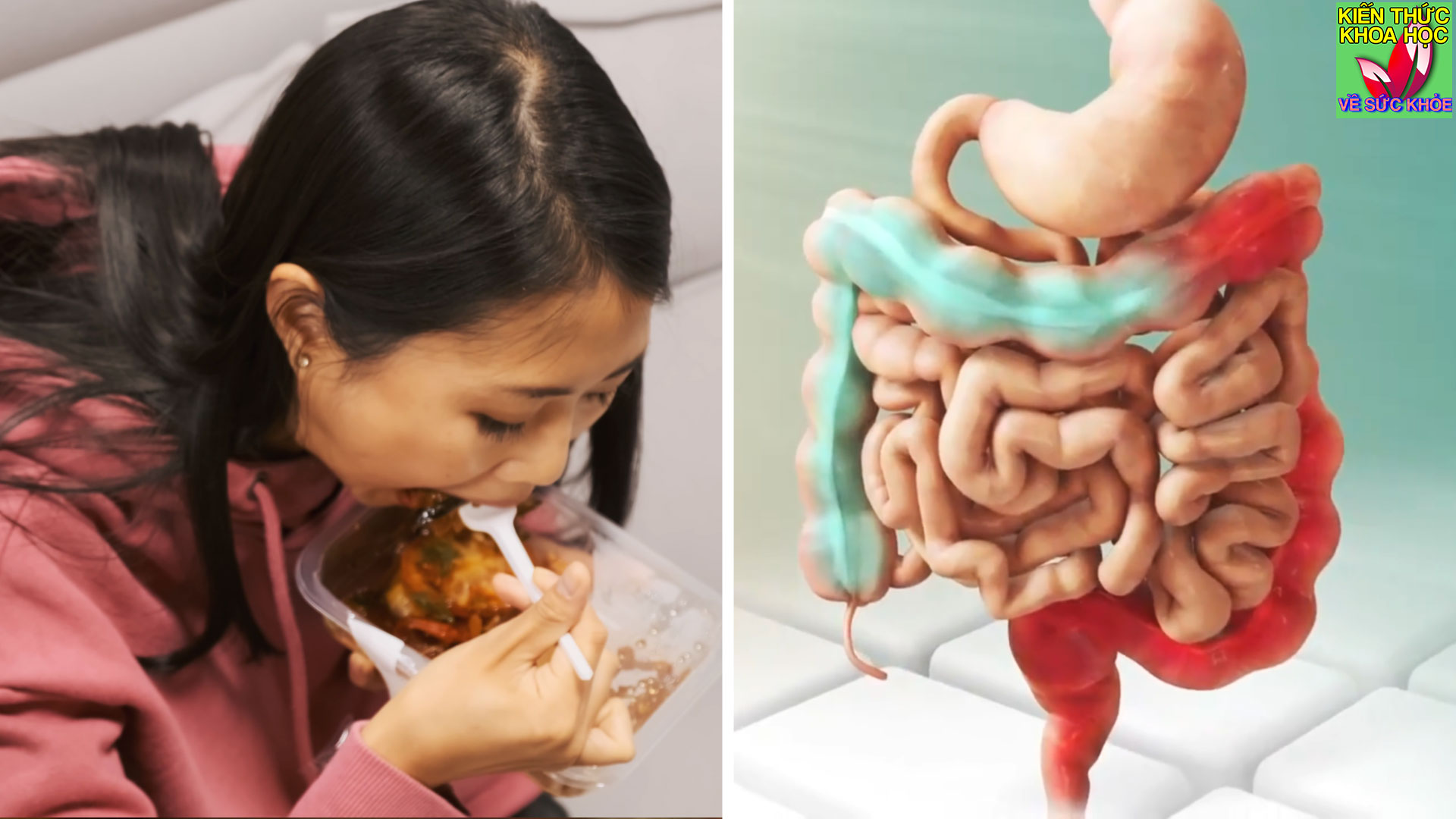 an-voi-an-vang-an-cho-xong-bua-dieu-gi-se-xay-ra-voi-co-the