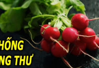 cu-cai-do-loai-rau-bo-duong-giup-phong-chong-ung-thu-cai-thien-tieu-hoa