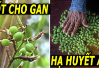 loai-qua-bo-gan-loi-phoi-ha-huyet-ap-khong-nhieu-nguoi-biet