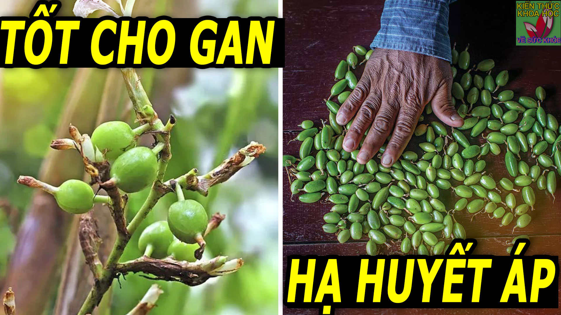 loai-qua-bo-gan-loi-phoi-ha-huyet-ap-khong-nhieu-nguoi-biet