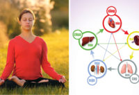 ngu-vi-la-gi-ung-dung-ra-sao