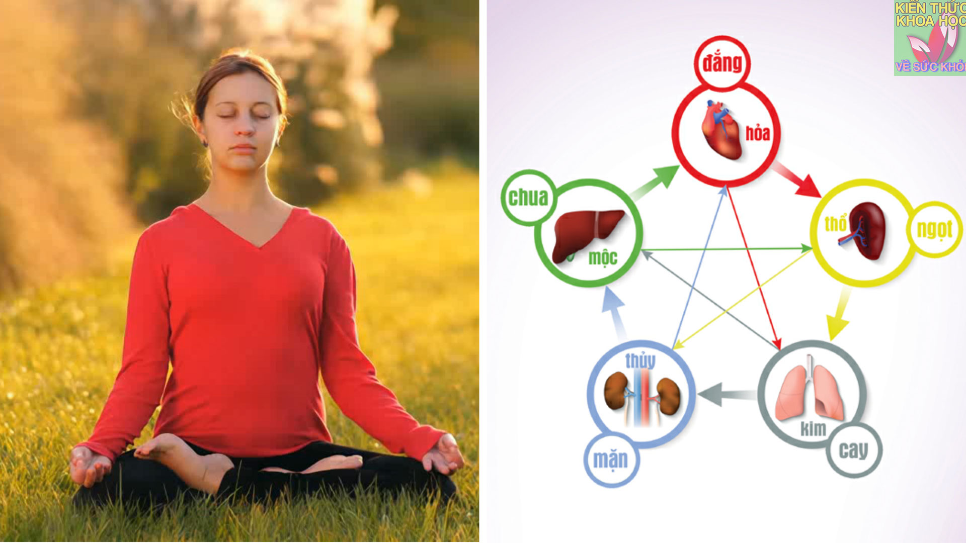 ngu-vi-la-gi-ung-dung-ra-sao