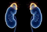 tuyen-thuong-than-co-quan-giu-sinh-menh-nhung-nhieu-nguoi-chua-biet-giu-gin