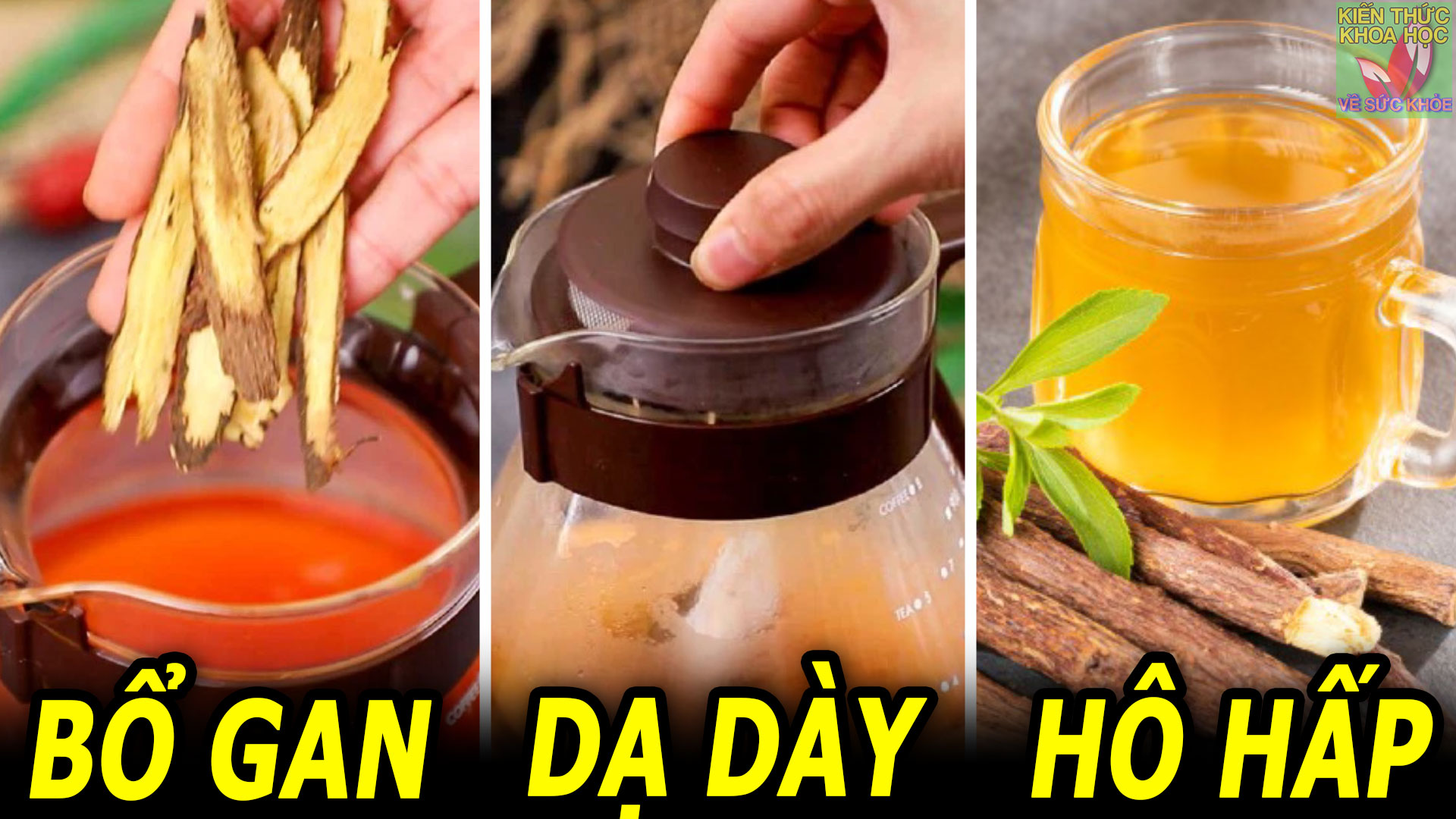 vua-bo-gan-vua-tot-cho-da-day-lai-cai-thien-he-ho-hap