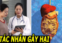 4 kiểu ăn uống gây hại tim gan dạ dày rút ngắn tuổi thọ