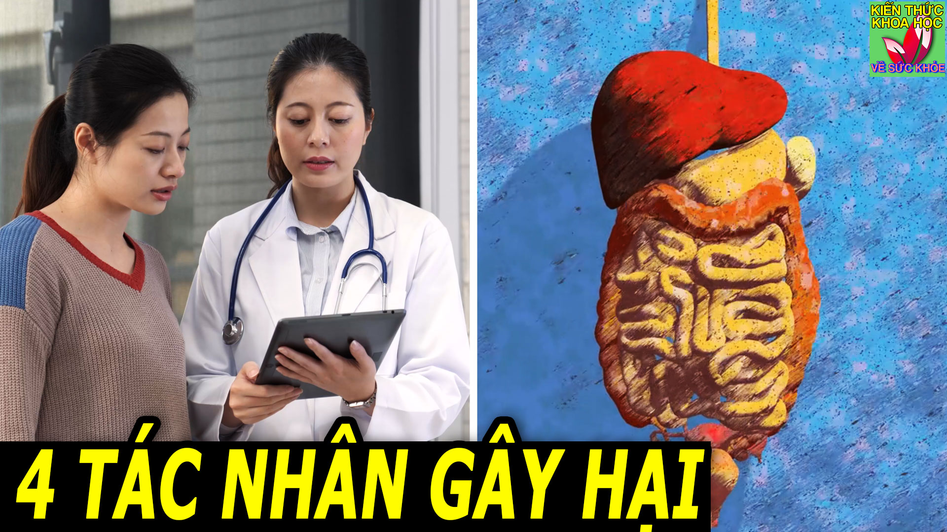 4 kiểu ăn uống gây hại tim gan dạ dày rút ngắn tuổi thọ