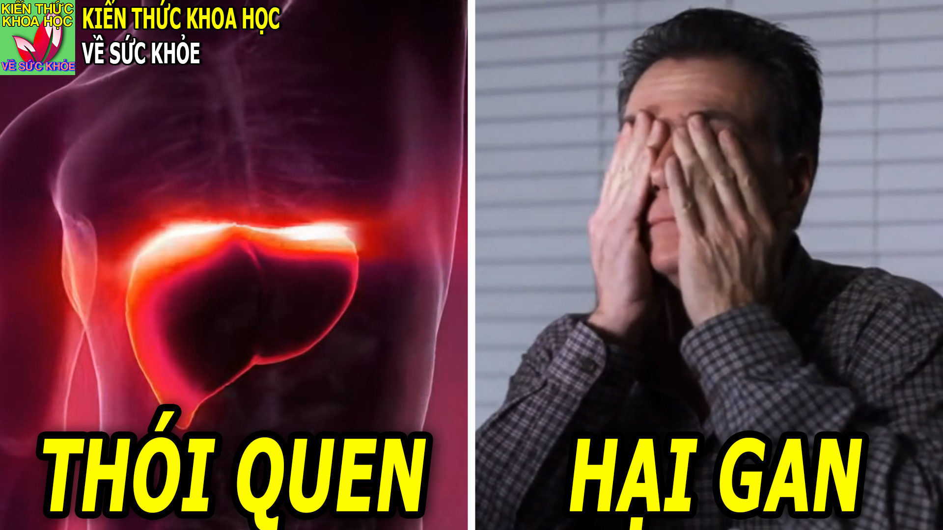 5-thoi-quen-khien-gan-ton-hai-can-tranh-mac-phai