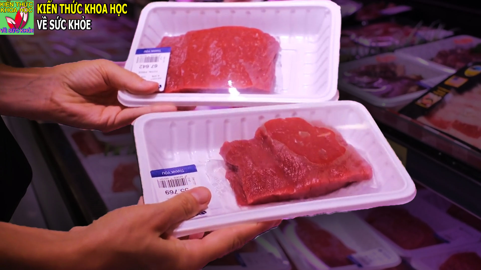 an-thit-do-nhieu-co-tot-khong