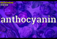 thuc-pham-bao-ve-tim-mach-giup-ngan-ngua-ung-thu-tieu-duong